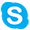 Skype Call